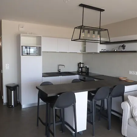 Luxe Avec Piscine, Animaux Admis, Climatisation Et Parking A - Fr-1-194-227 דירה