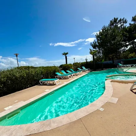 Luxe Avec Piscine, Animaux Admis, Climatisation Et Parking A - Fr-1-194-227